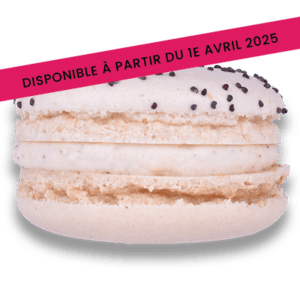 Macaron Chèvre Noix Nuances Gourmandes