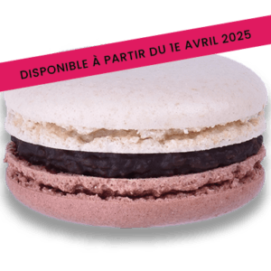 Macaron Chocolat noir Noix de coco Nuances Gourmandes