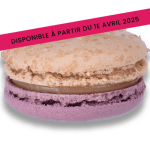 Macaron Melon Pineau Nuances Gourmandes