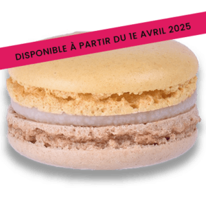 Macaron Miel Citron Nuances Gourmandes