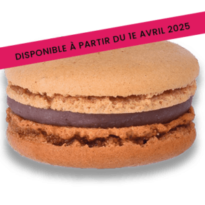 Macaron Praliné noix de pécan Nuances Gourmandes